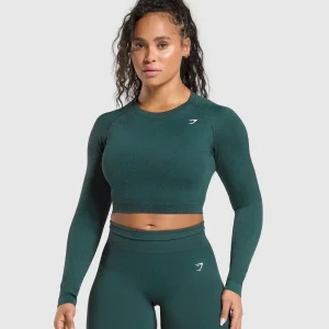 Adapt Fleck Seamless Long Sleeve Crop Top