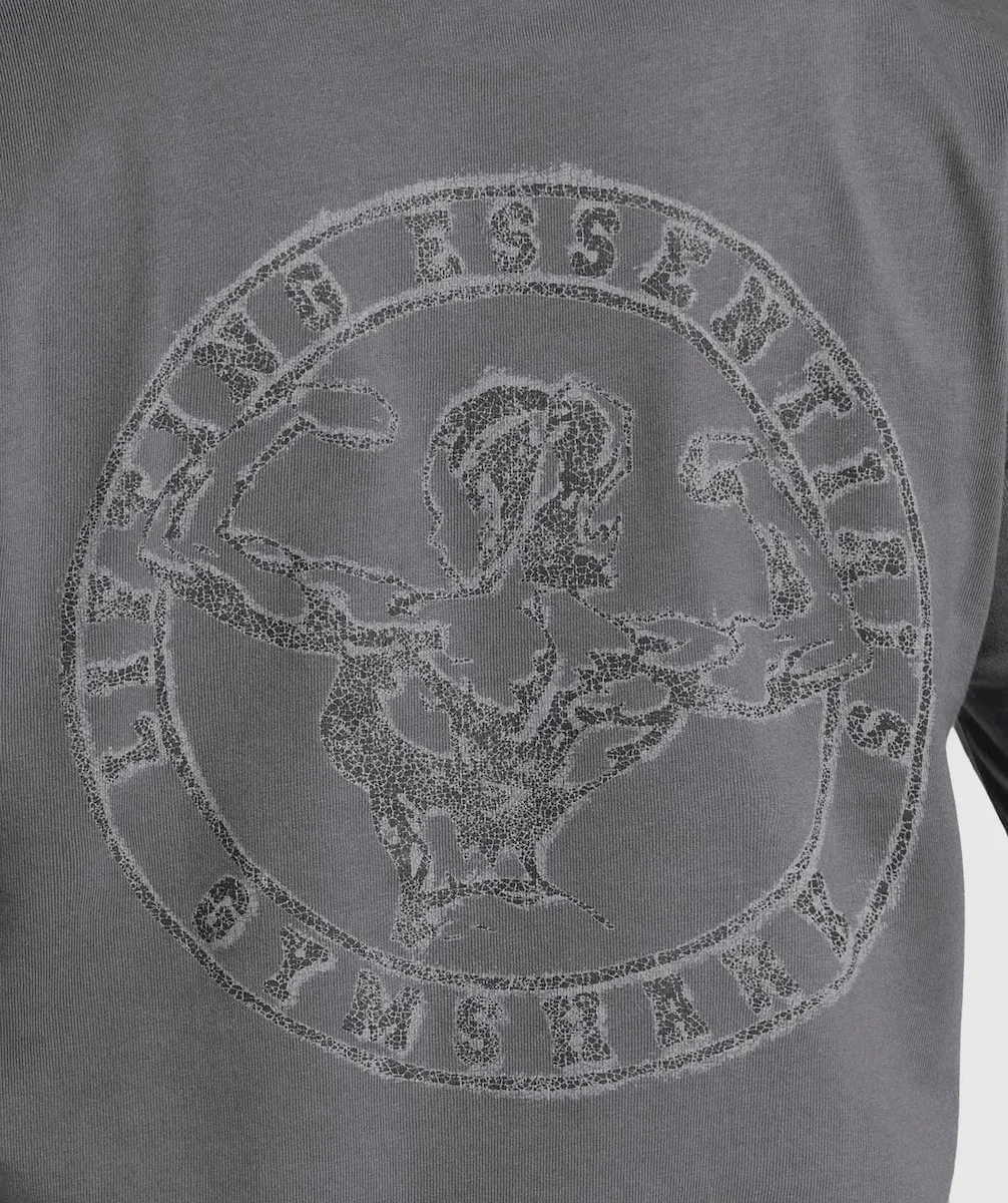 Back Gains Graphic Oversized Tee - Image 5