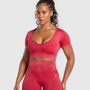 Gains Seamless Washed Crop Top