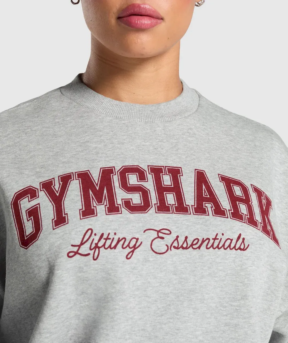 Lifting Essentials Graphic Brushed Oversized Sweatshirt - Image 5