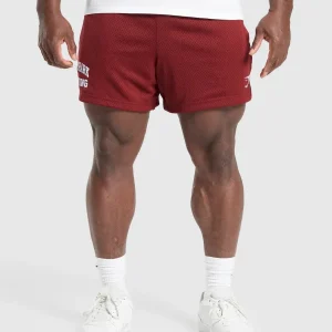 Lifting Mesh 5" Shorts