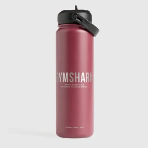 Metal Insulated Straw Bottle 24oz