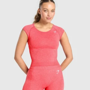 Vital Scoop Neck Top