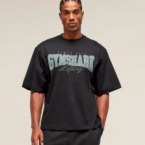 Lifting Essentials T-Shirt