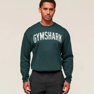 Worn Graphic Long Sleeve T-Shirt