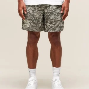 Lifting Mesh 5" Shorts