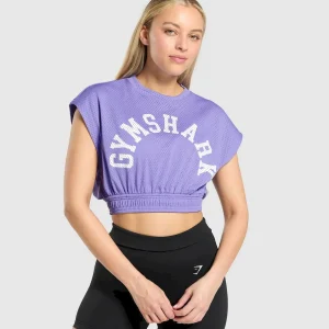 Mesh Graphic Crop Top