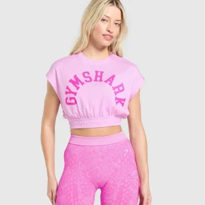 Mesh Graphic Crop Top